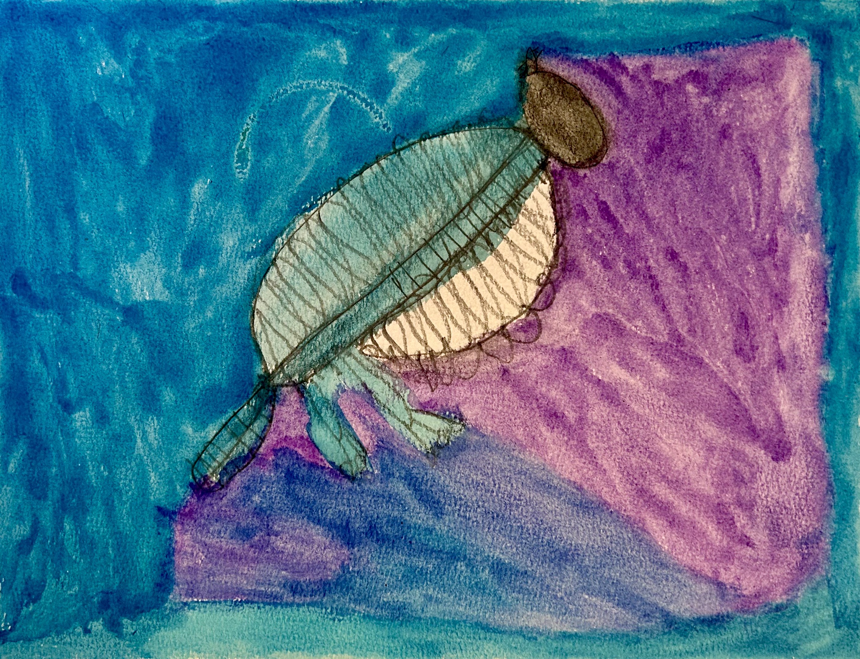Blue Jay In The Sky by Tom